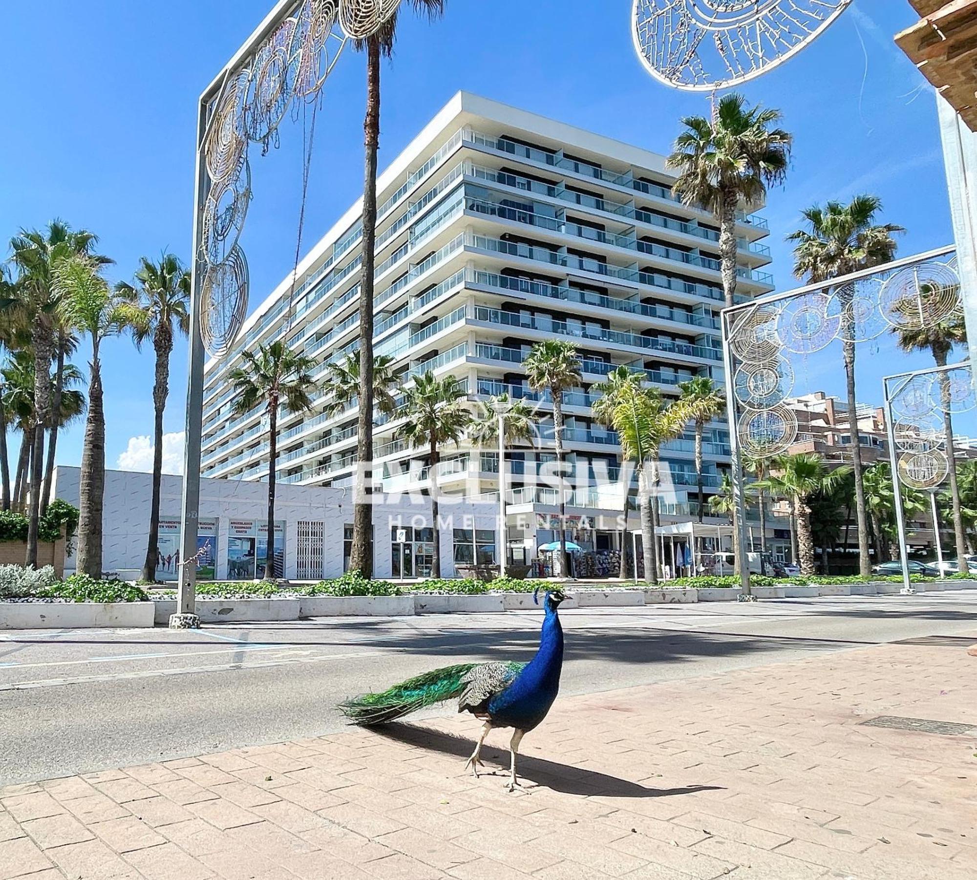 Apartment Albamarina, 1ªlinea, Magic World, Vistas Al Mar! Oropesa del Mar